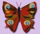 Farfalla.jpg (3613 byte)